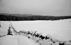 Vastités en Vallée de Joux