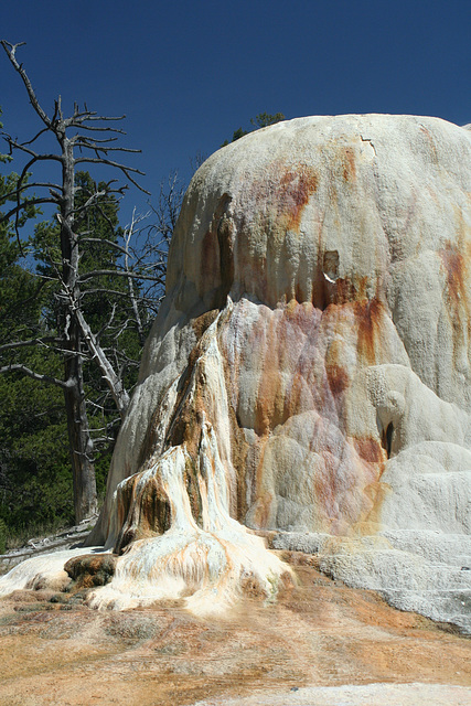 Orange Spring Mound