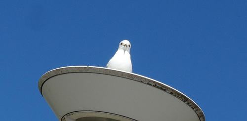 UFO