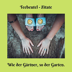 Teebeutel - Zitate - 11.