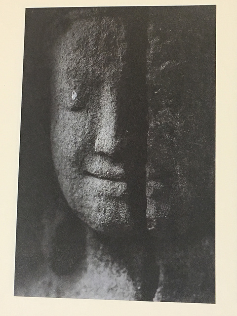 IMG E3325
