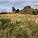 Clun Castle, Shropshire