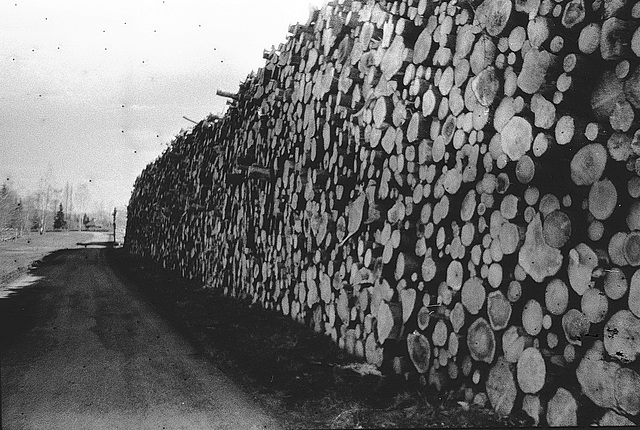 "Wald", Benneckenstein, Film