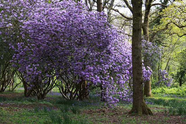 Cefn Onn Park