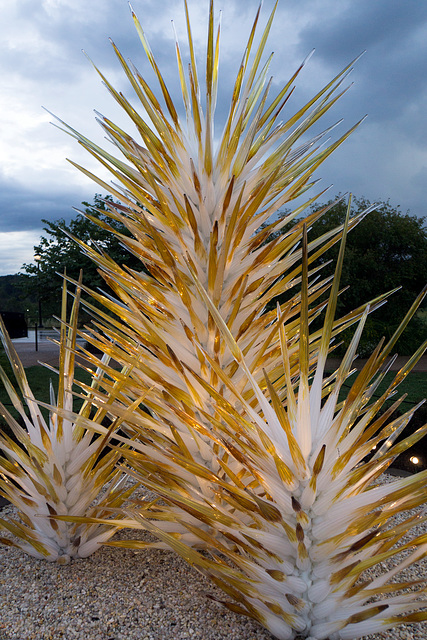 Antler Village tree 2