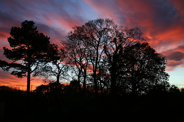 Sunset ,Staxton North Yorkshire 14th November 2018.