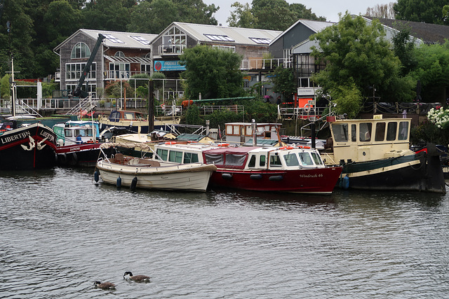 Eel Pie Island