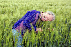 In The Cornfield (1)