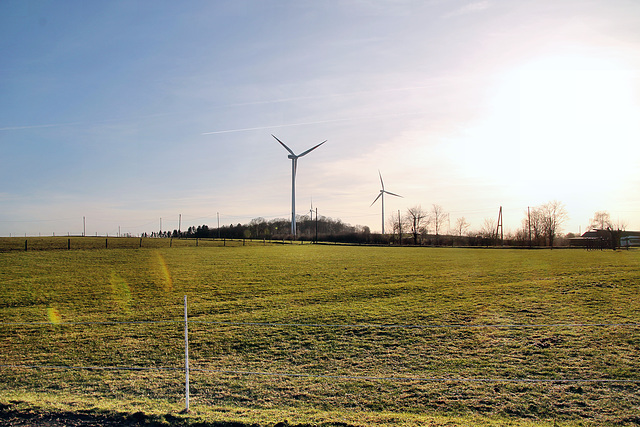 Feld bei Filde (Radevormwald) / 27.01.2024