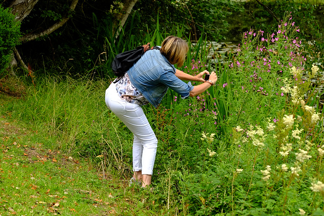 Wrest Park July 2015 XPro1 Becky 4