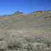 IMG 8770