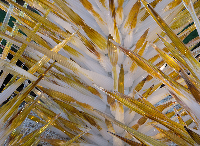 Antler Village tree, close up