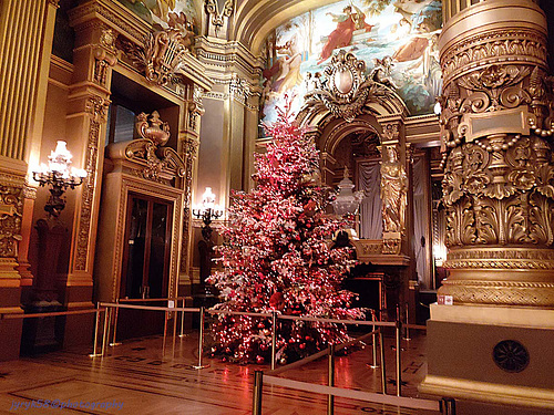 Palais Garnier - Opéra National de Paris (10)