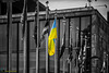 Flags in front of the Headquarters of the United Nations