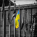 Flags in front of the Headquarters of the United Nations