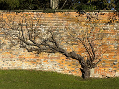 HWW: Waiting for spring