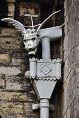 cardiff castle (40)