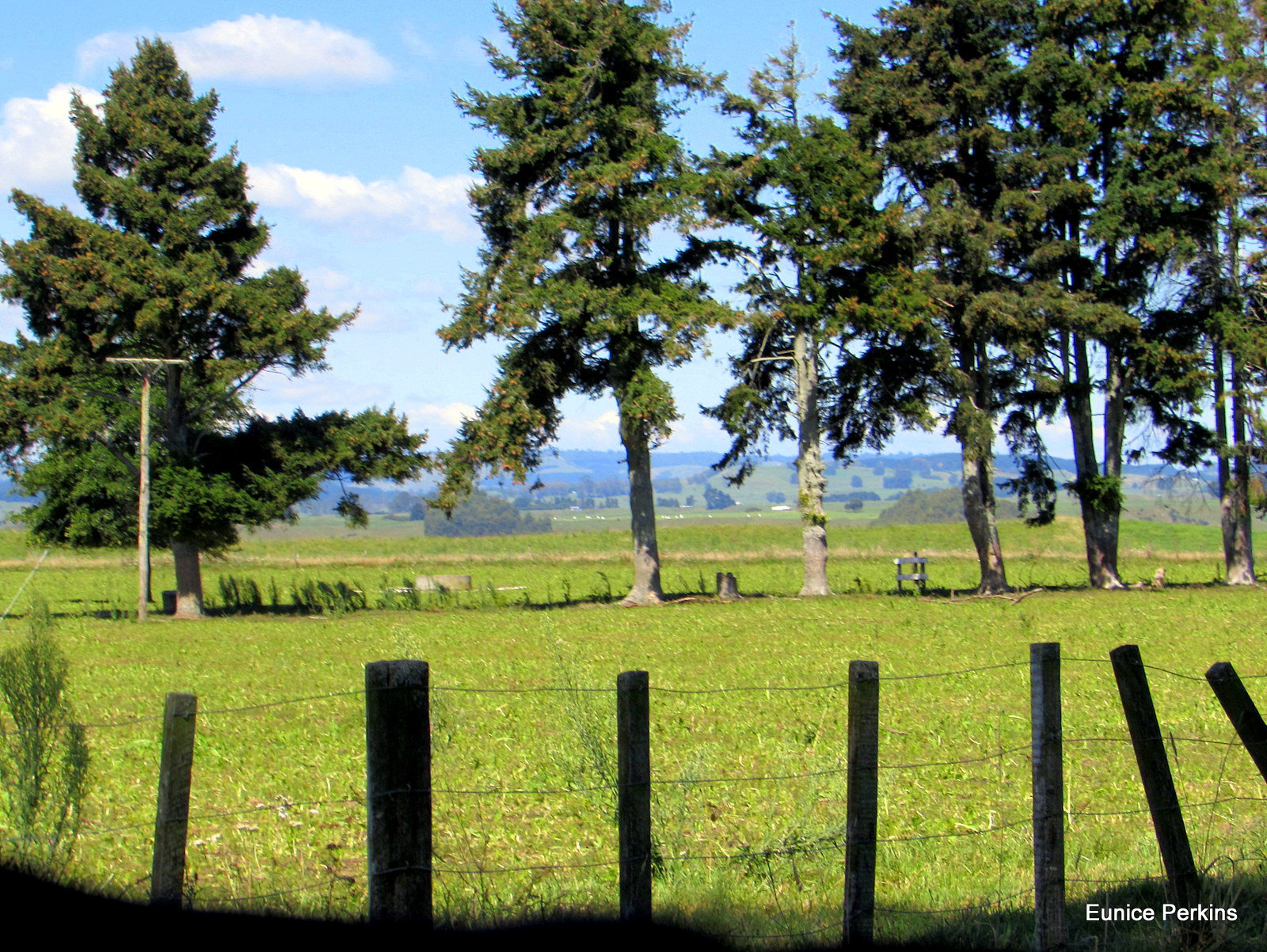 Farm Fence.