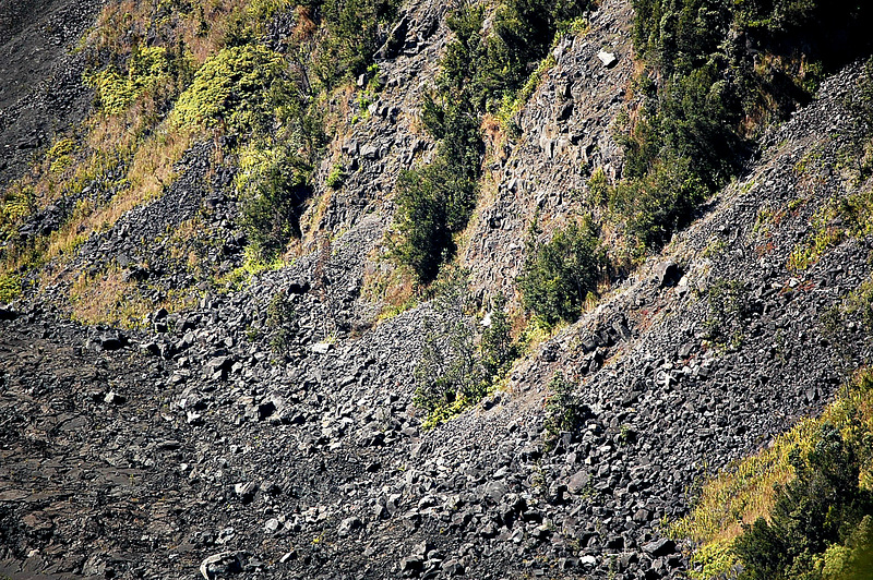 Kīlauea Iki ~ Collapsing wall ~ But life strives!