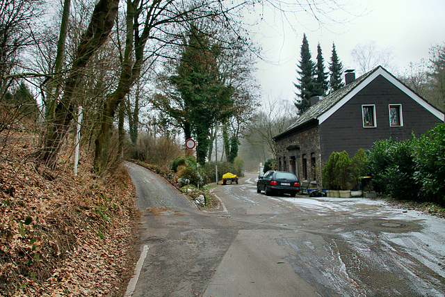 Deipenbecktal (Essen-Überruhr) / 25.01.2019