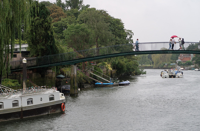 Eel Pie Island