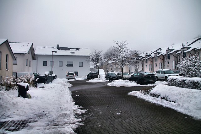Zum Hombach (Breckerfeld-Waldbauer) / 11.01.2025