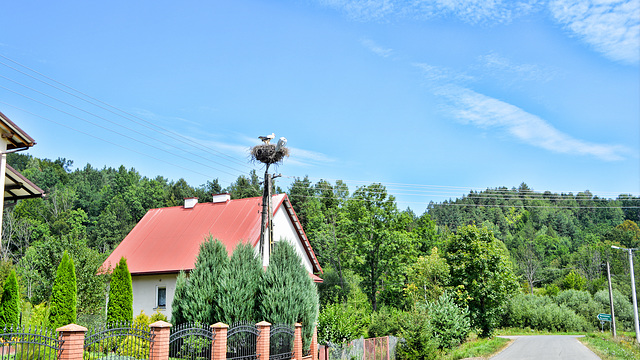 Górzanka, Karpaten Polen
