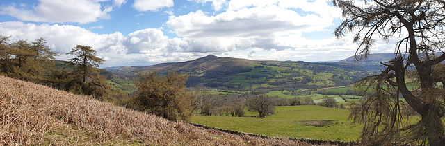 The Sugarloaf