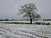 Late winter snow