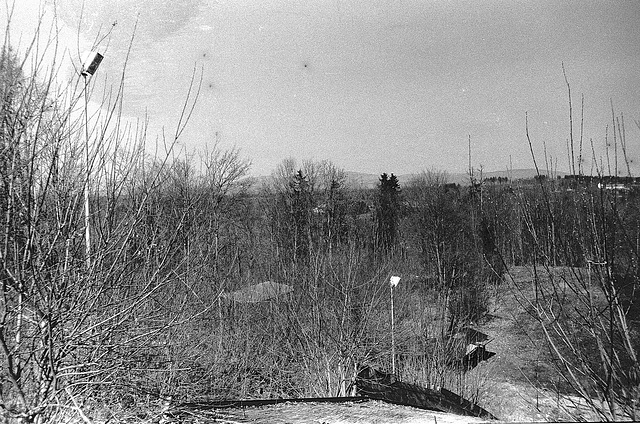 "Wald", Benneckenstein, Film