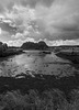 Denny's Dock at Low Tide