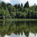 Weldener Weiher