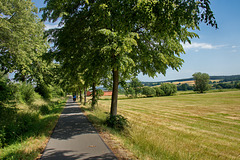 Im breiten Tal der Fulda gibt es nur noch gelegentlich Schatten auf dem Weg