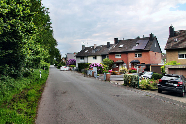 Spissenagelstraße (Dortmund-Bittermark) / 18.05.2024