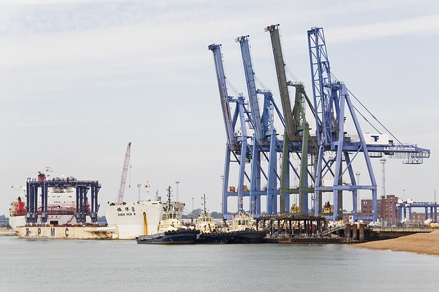 More cranes of Felixstowe