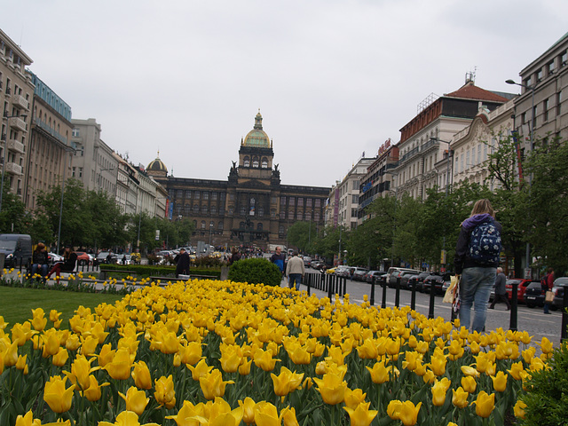 Praha, Václavské náměstí