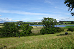 View Over Loch Ken