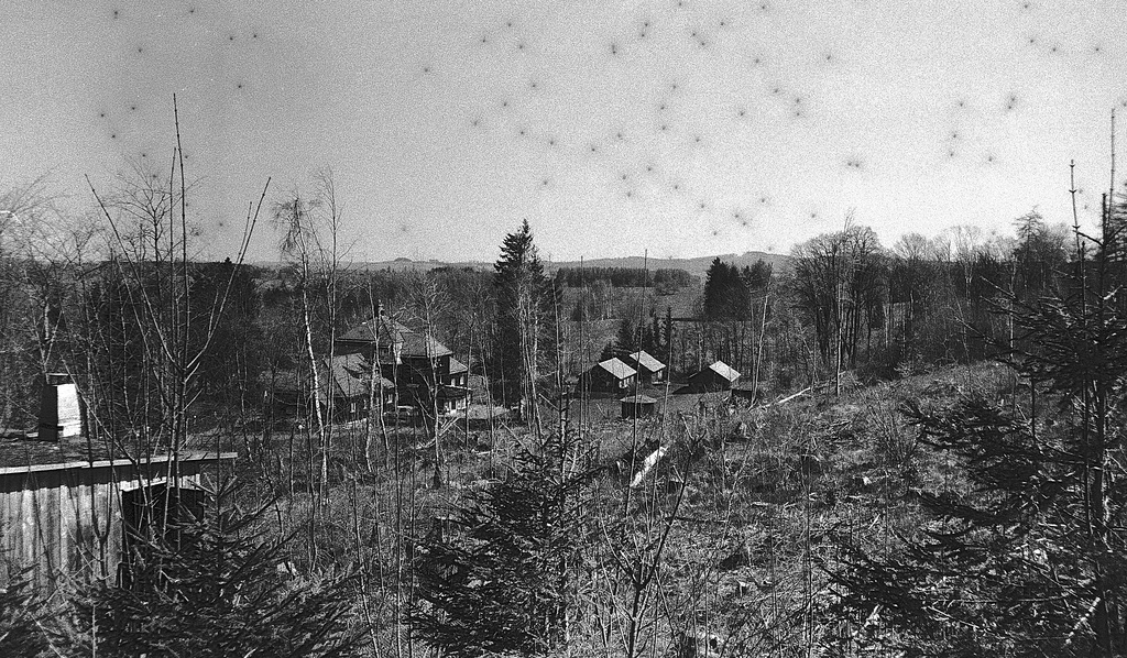 "Wald", Benneckenstein, Film