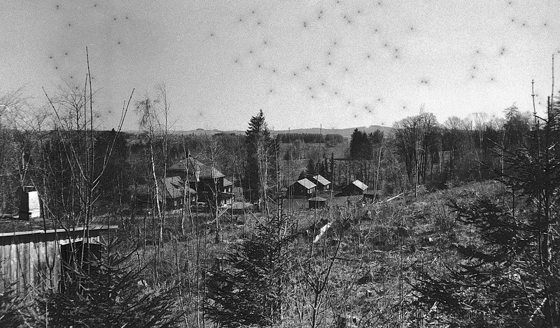 "Wald", Benneckenstein, Film