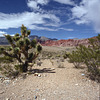 Red Rock Canyon National Conservation Area