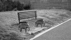 Elephant Bench