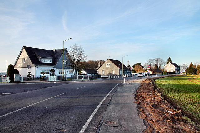 B483 Timpen (Ennepetal-Königsfeld) / 27.01.2024