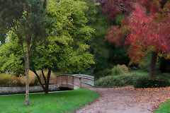 Le petit pont de bois