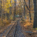 600 mm Schmalspur im Küchwald