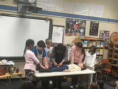 IMG 3337