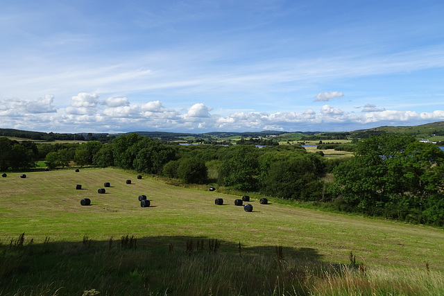 Looking Towards Loch Ken