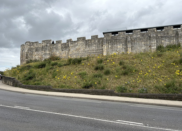 City Wall (IMG 8691)
