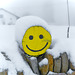 Sourire hivernal pour 2025