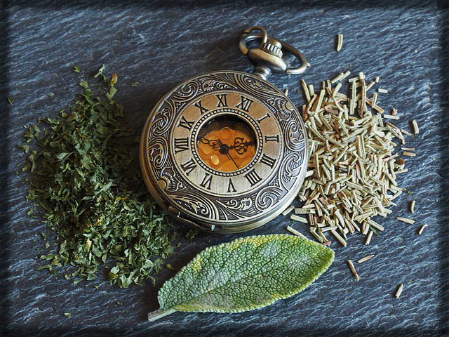 Parsley sage rosemary and time :) Parsley sage rosemary and time :)