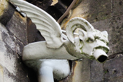 cardiff castle (42)
